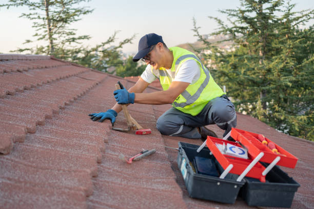 Best Flat Roof Repair Services  in Limon, CO